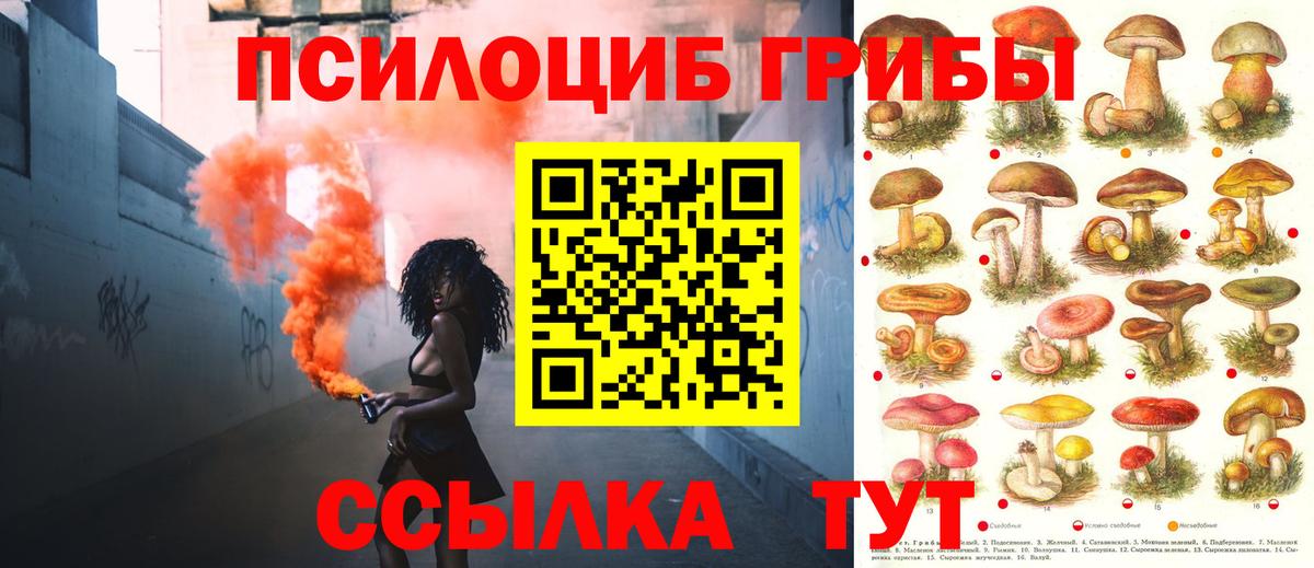 наркошоп  Галлюциногенные грибы GOLDEN TEACHER  Вход с VPN  Северобайкальск 